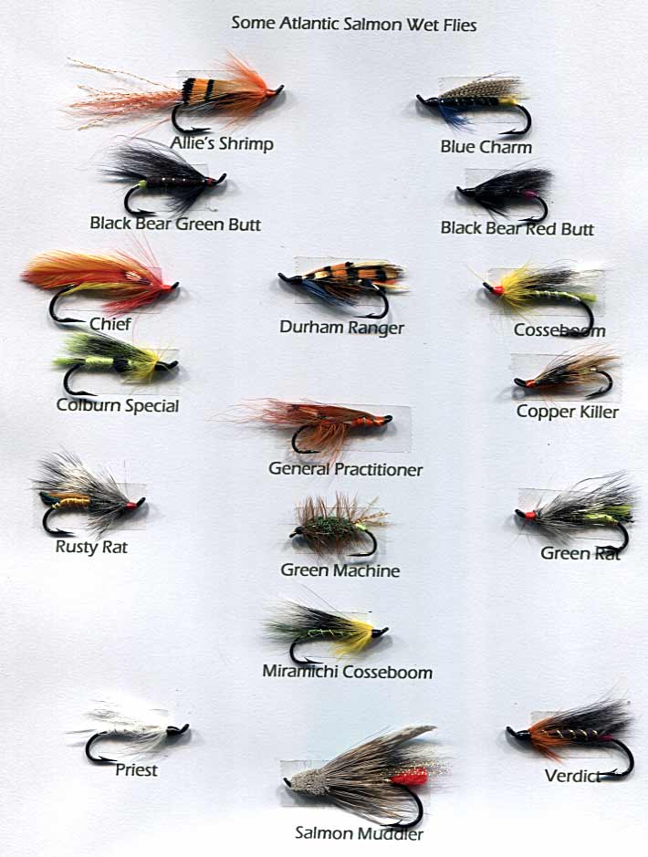 The Changing Face of Salmon Flies - Tying Atlantic Salmon and Spey  Flies,Fly Angler's OnLine